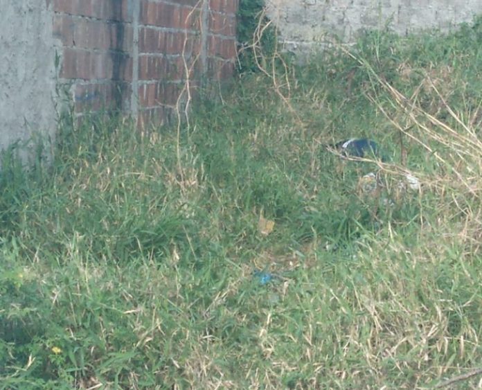 WhatsApp Image 2022-09-01 at 08.20.48