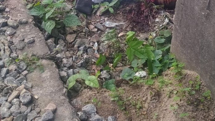 WhatsApp Image 2022-09-10 at 17.21.53 - Copia