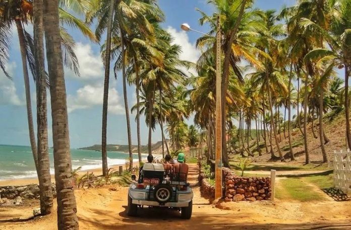 WhatsApp Image 2022-10-21 at 11.08.34