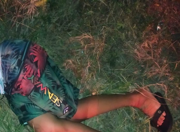 WhatsApp Image 2022-11-11 at 22.00.16 - Copia