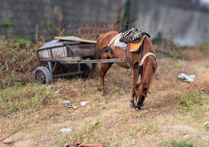 WhatsApp Image 2022-11-15 at 07.31.25(1) - Copia