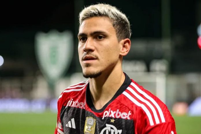pedrojogadorflamengo2