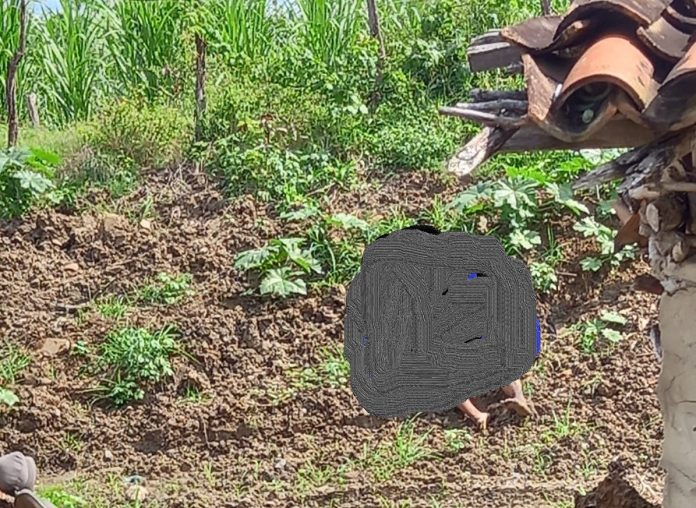 WhatsApp Image 2023-08-29 at 19.29.36