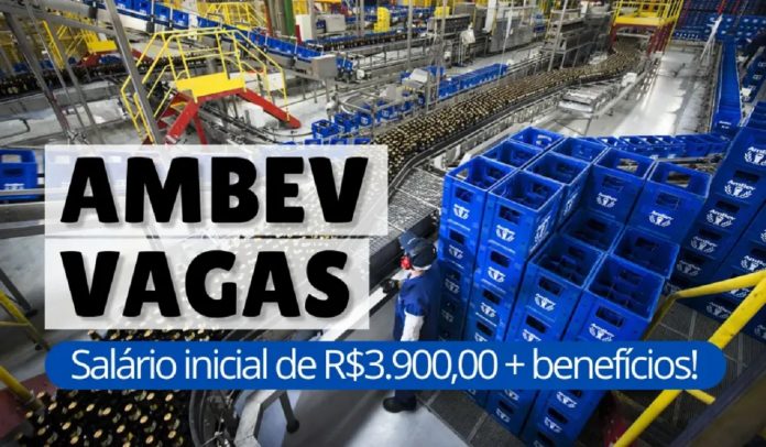 Cervejaria-Ambev-esta-com-mais-de-350-vagas-de-emprego-abertas-para-candidatos-com-e-sem-experiencia-para-as-areas-de-Administracao-Marketing-Vendas-Logistica-Tecnica-e-Industrial