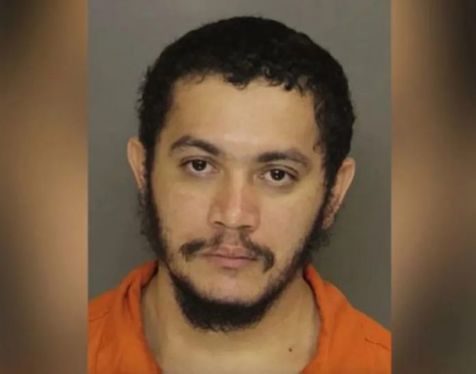 brasileiro_00827146_0_-3