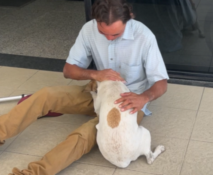 csm_DANIEL_RECEBE_ALTA_EM_JOAO_PESSOA_aa472db7f0