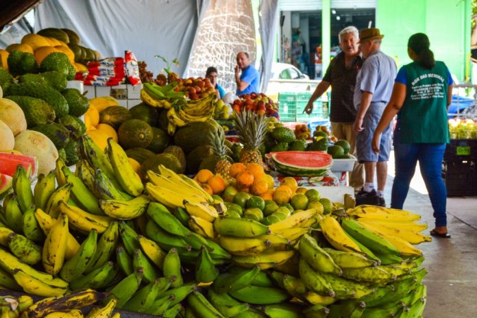 MercadoCentral2016_RafaelPassos-45-1024x683-1
