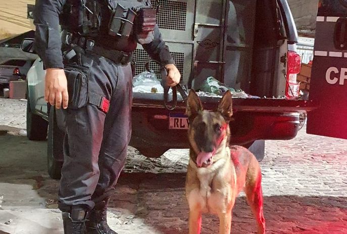 csm_WhatsApp_Image_2023-10-19_at_18.23.41_1742e33f73