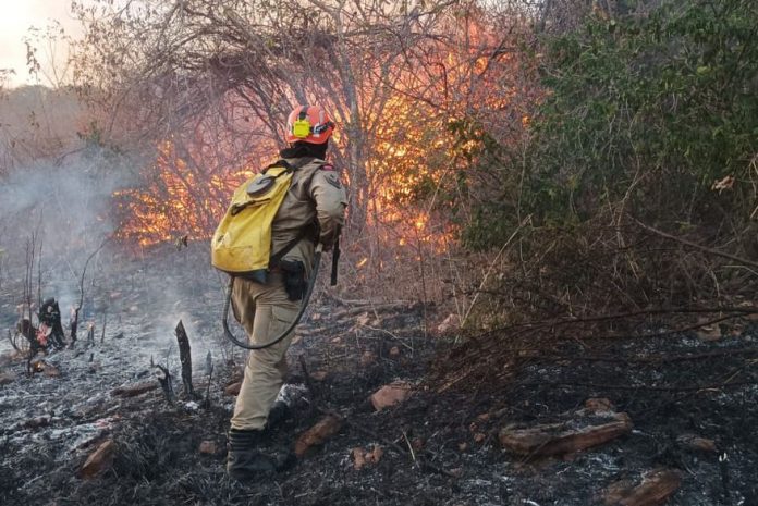 incendio_serra_santa_catarina___foto_bombeiros_2