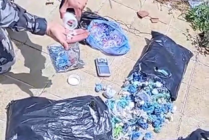 cruz_das_armas__drogas