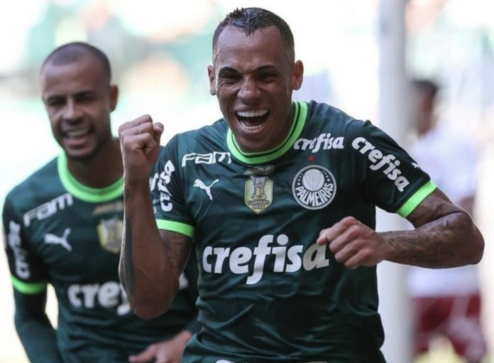 palmeiras