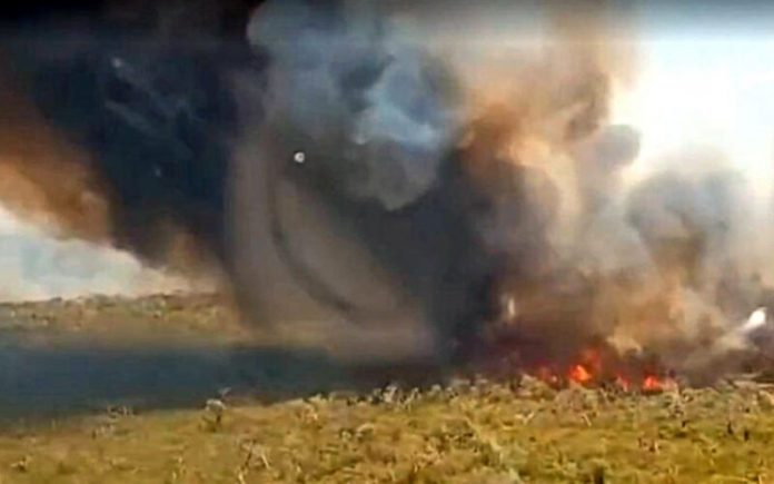 broca-queimada-800x500