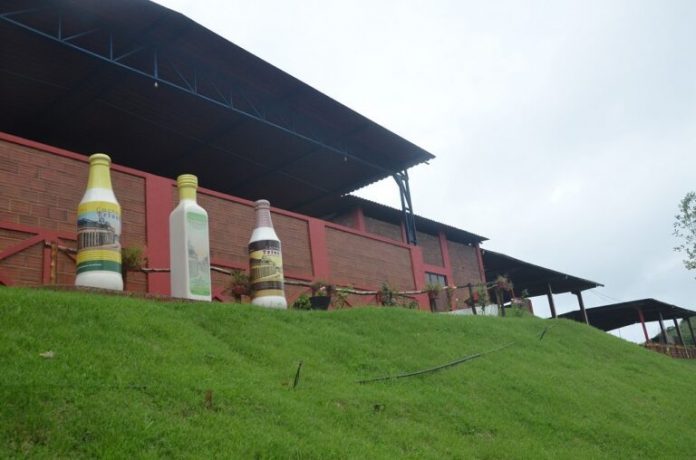 Engenho_Triunfo_Areia_portal-768x508