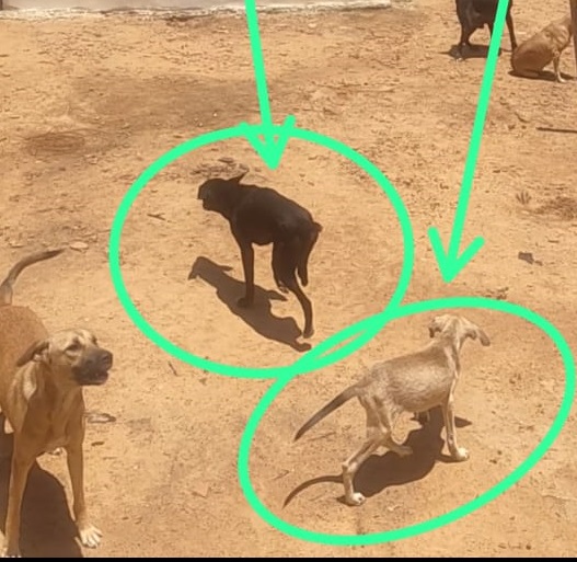 WhatsApp Image 2024-03-22 at 14.56.31