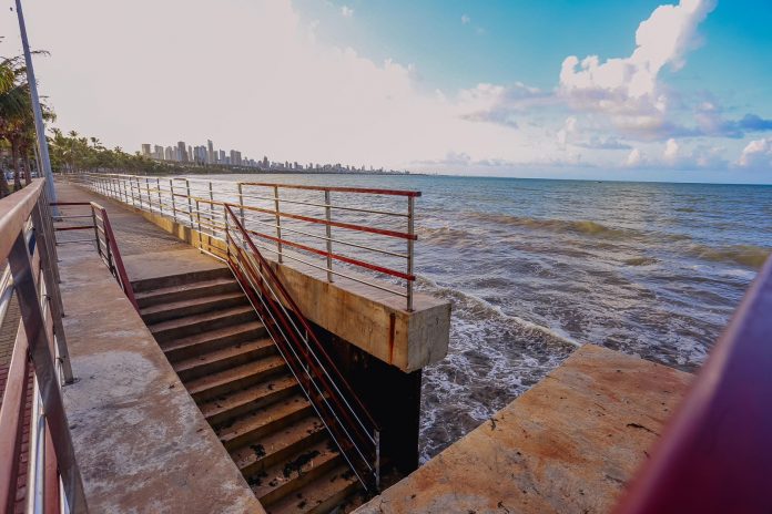 WhatsApp Image 2024-03-25 at 19.41.56