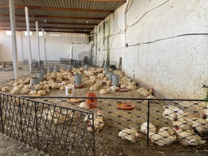 WhatsApp-Image-2024-09-16-at-17.21.56