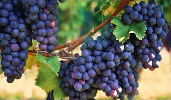 foto-sortimentos.com_